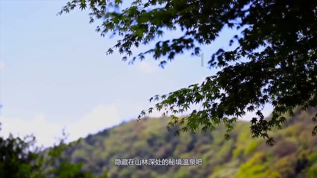 机智问答网页狮子座和哪些星座女生容易成为闺蜜,快速解答你的疑问!